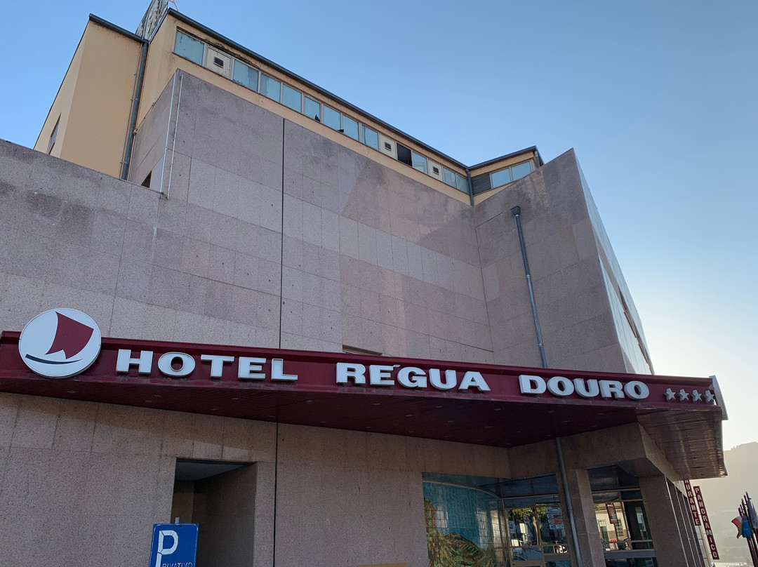 Hotel Regua Douro主图