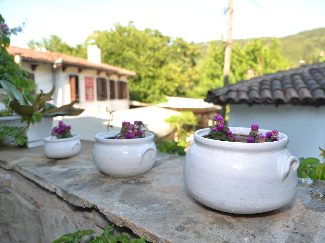 瑟兰尼克膳食公寓酒店主图