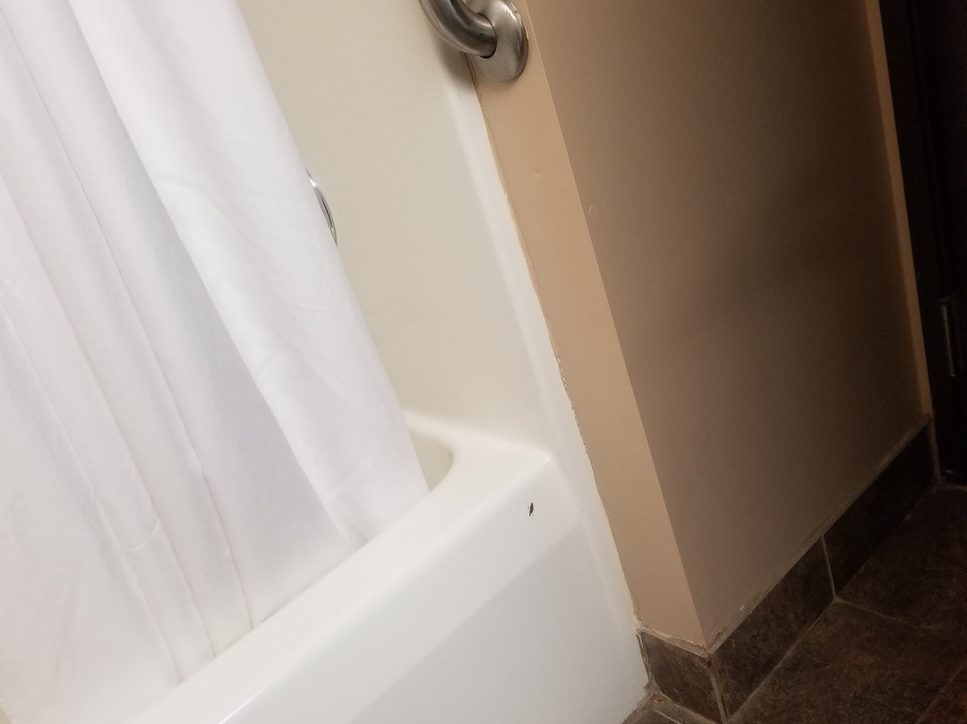 科尔德沃特快捷假日酒店主图