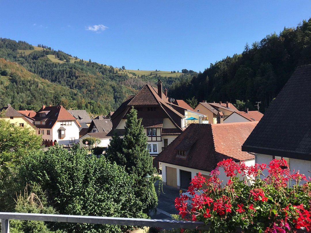 Hotel Gasthof Vier Lowen主图