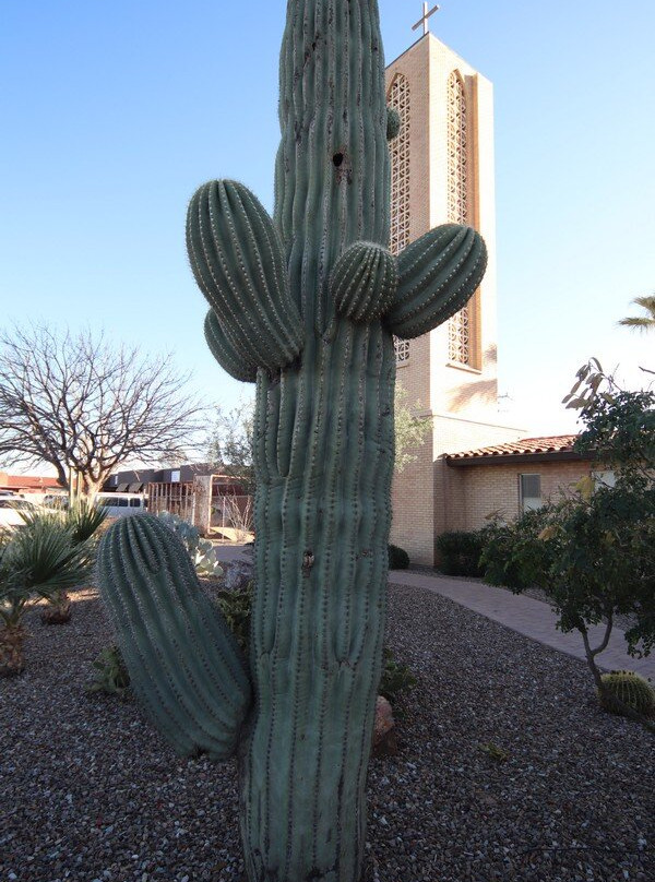 St. Anthony Of Padua Catholic Church-Florence必去景点