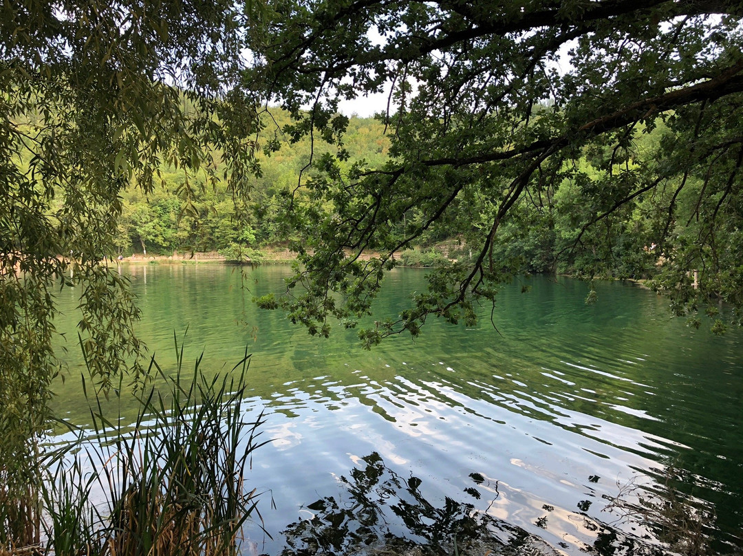 Lago Sinizzo景点图片