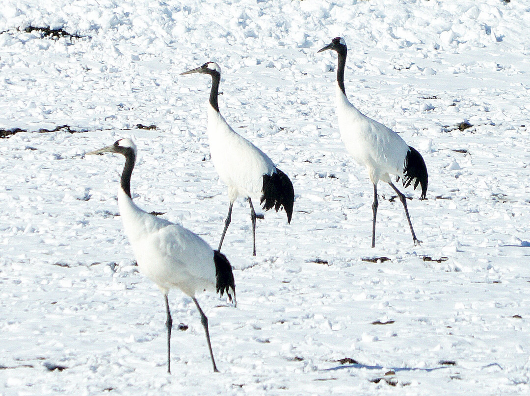 Kayanuma Station-标茶町必去景点