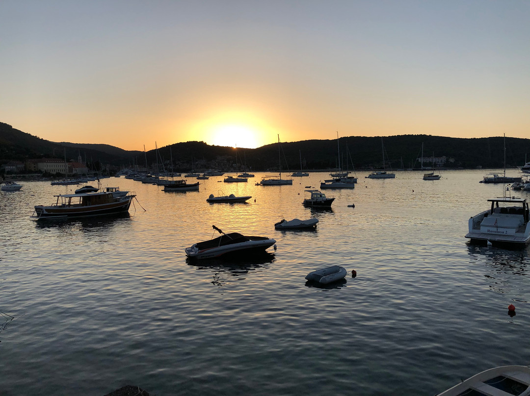 Navigator - Day Tours-维斯必去景点