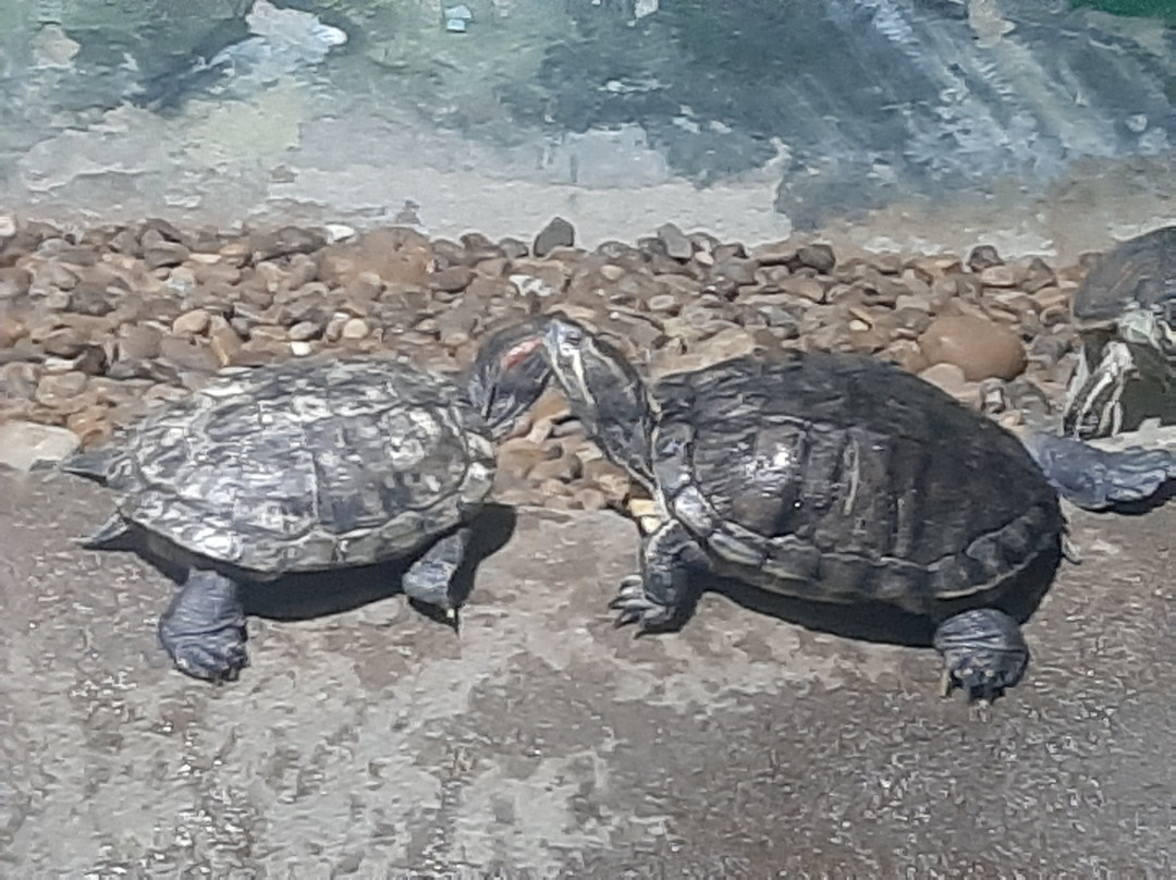 Aquario de Peruibe景点图片