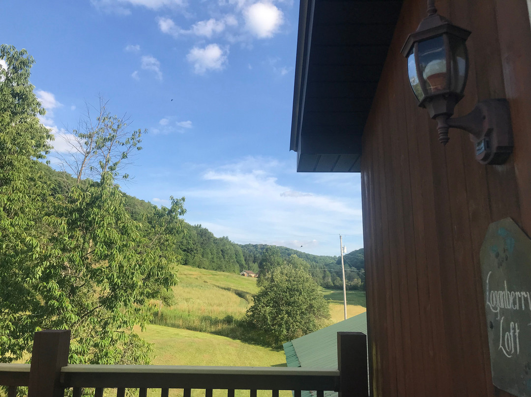 Frosty Hollow Bed and Breakfast主图