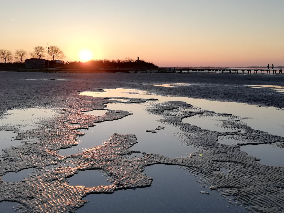 Conche旅游攻略图片