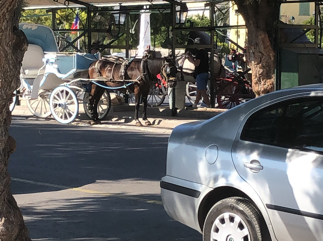 Horse riding on Aegina景点图片