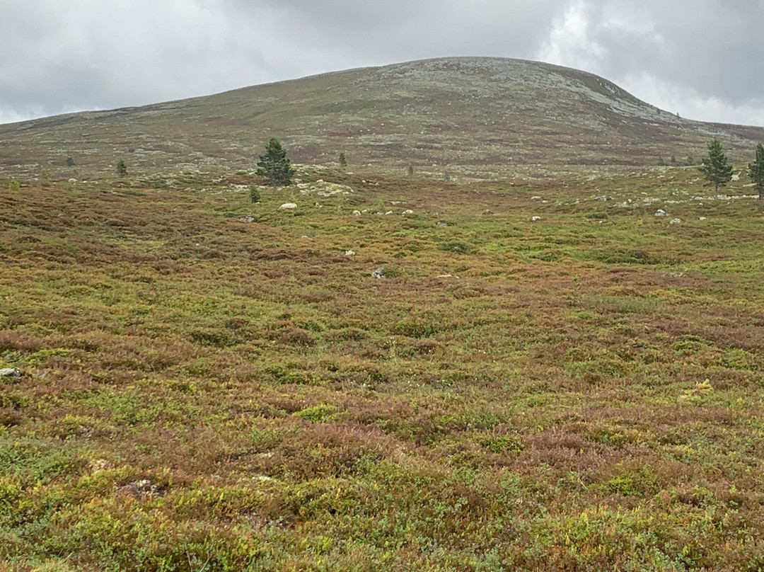 Lövåsgårdens Fjällhotell主图