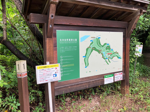 Kitamoto Nature Observation Park-北本市必去景点