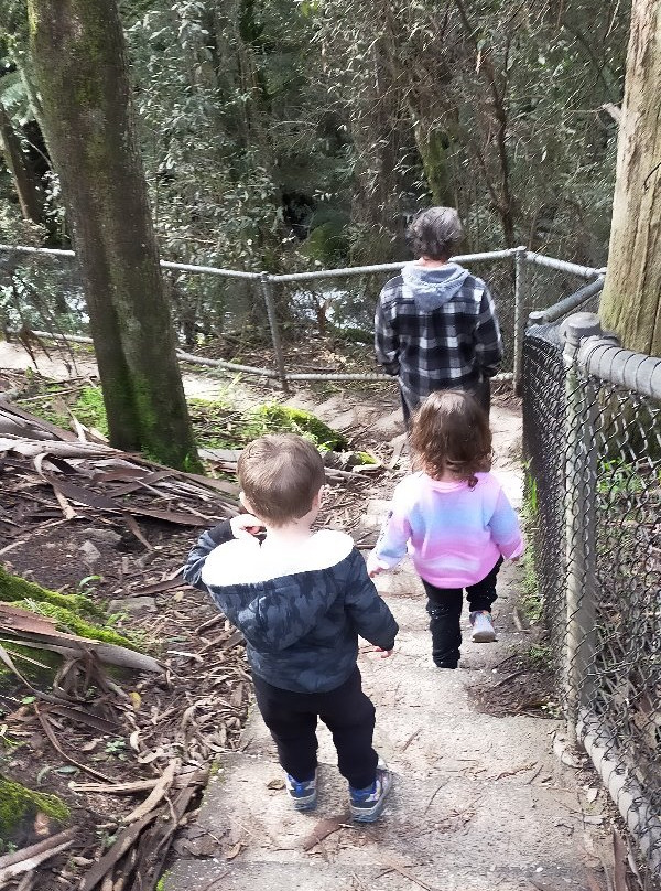 Snobs Creek Falls-Eildon必去景点