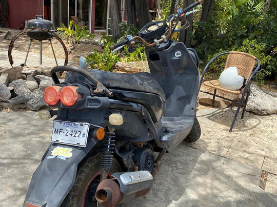 Smiley Rentals-Kralendijk必去景点