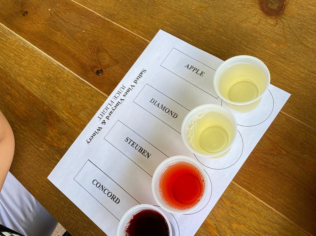 Frankford旅游景点-Salted Vines Vineyard & Winery