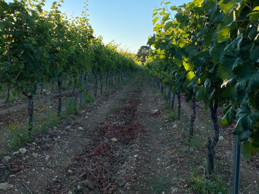 Tenuta Padre Pio-维耶斯泰必去景点