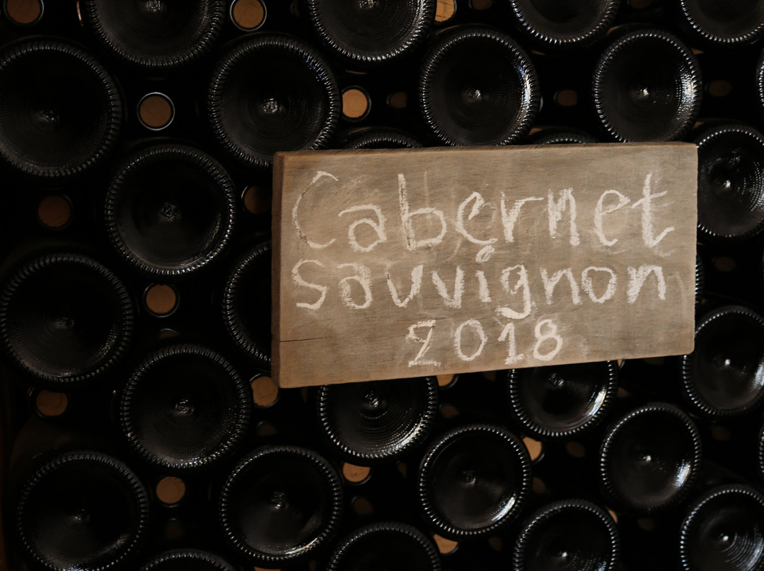 Coutsodontis Winery-Marathokampos必去景点
