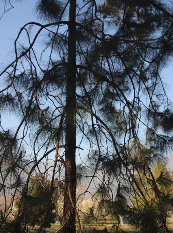 Glen Helen Regional Park-圣贝纳迪诺必去景点