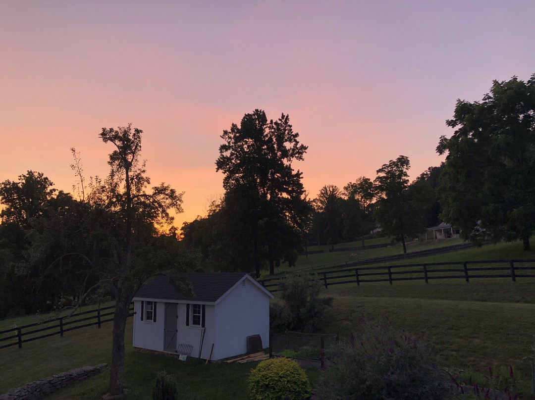 Black Dog Farm at Mount Welby主图
