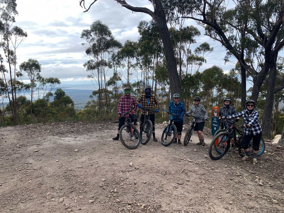 St Helens Mountain Bike Trails景点图片