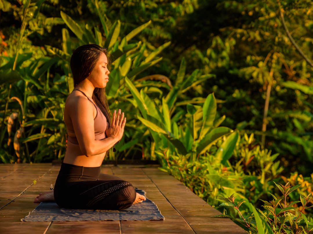 Samasati Nature Retreat主图