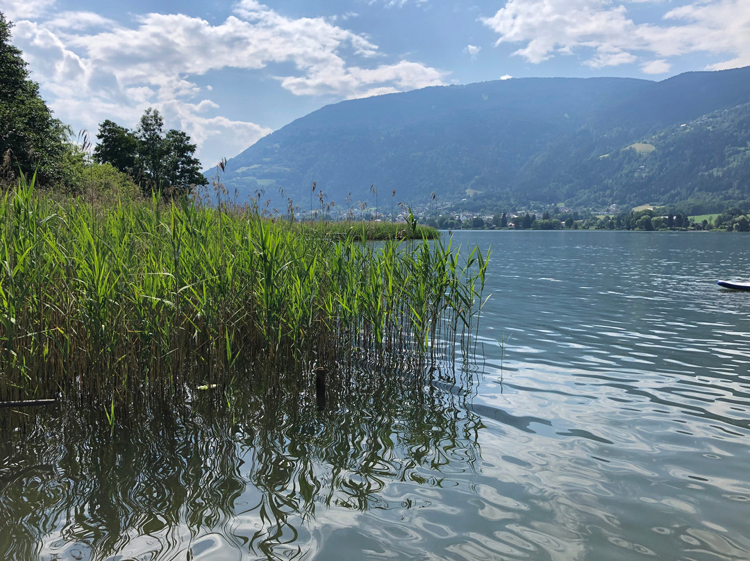 Pension Strauss主图