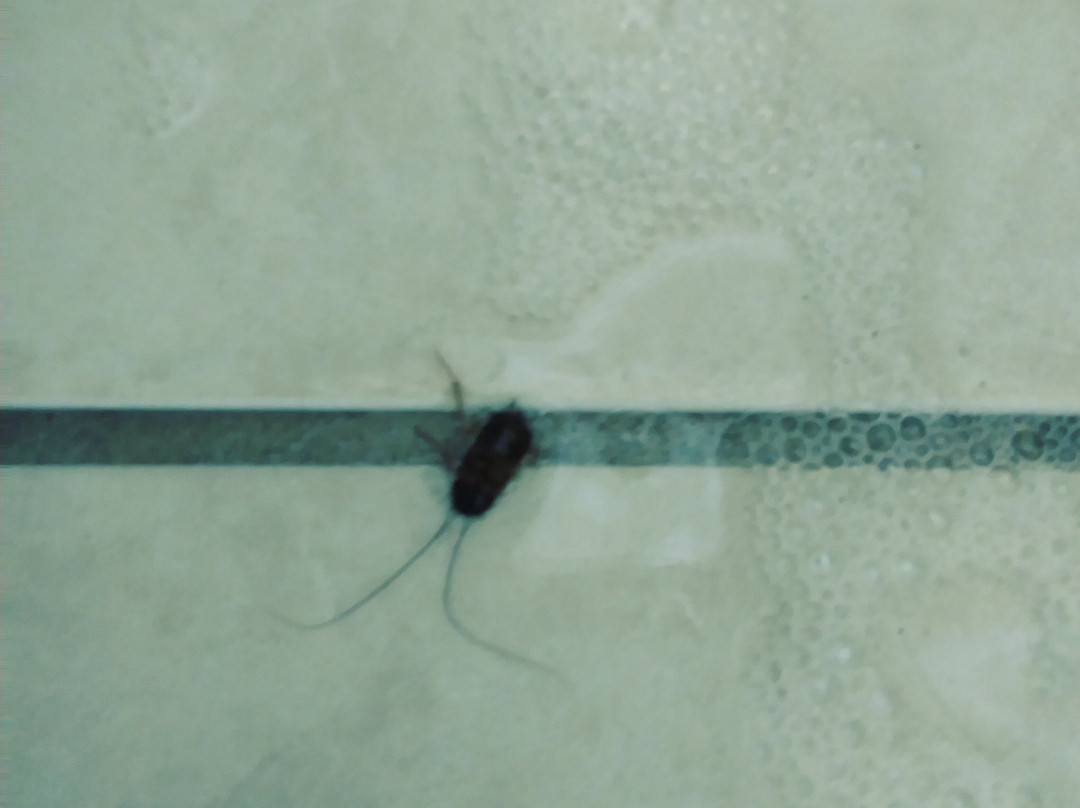 Schooner Hotel主图