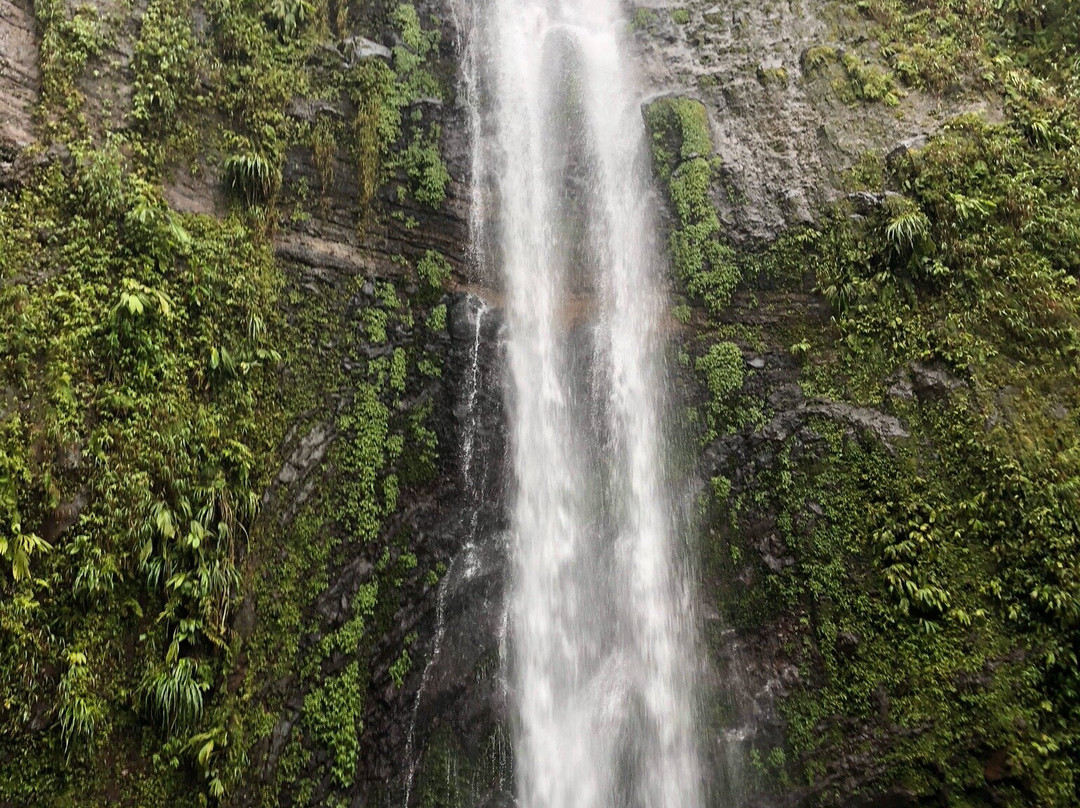 Trace des chutes Moreau-Goyave必去景点