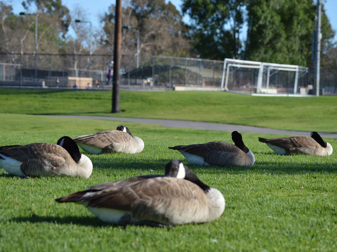 Don Knabe Community Regional Park-喜瑞都必去景点
