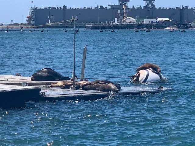 San Diego Sailing Experiences-圣地亚哥必去景点