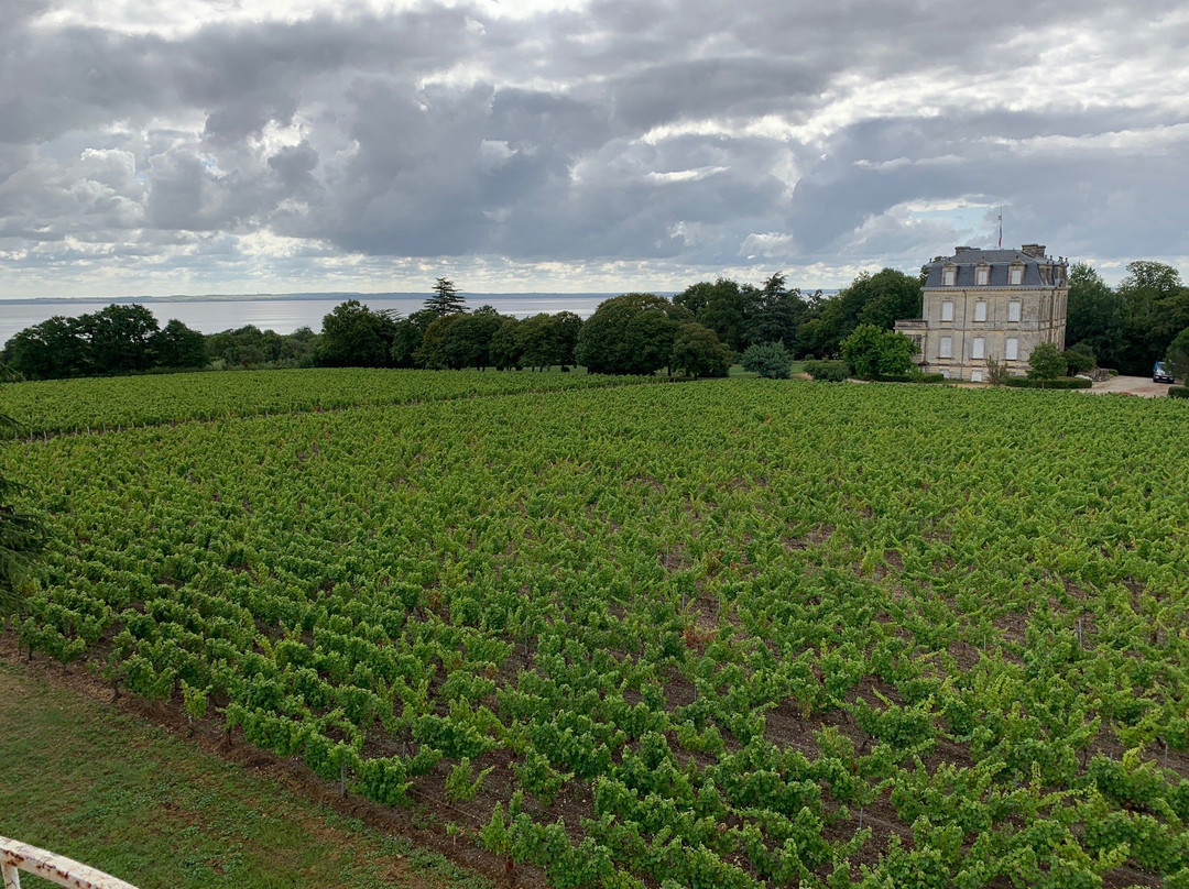 Château La Tour de By景点图片