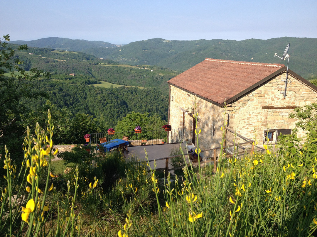 B&B Poggio delle Ginestre主图