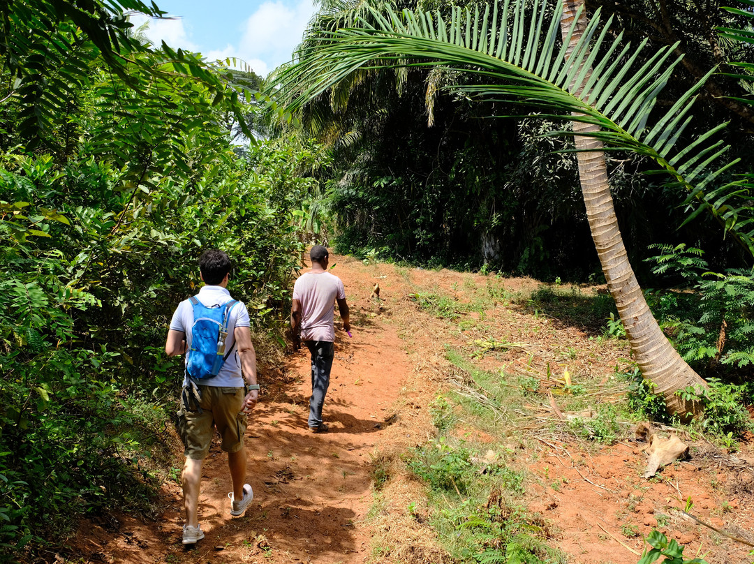Zanzibar Different Tours - Day Tours景点图片