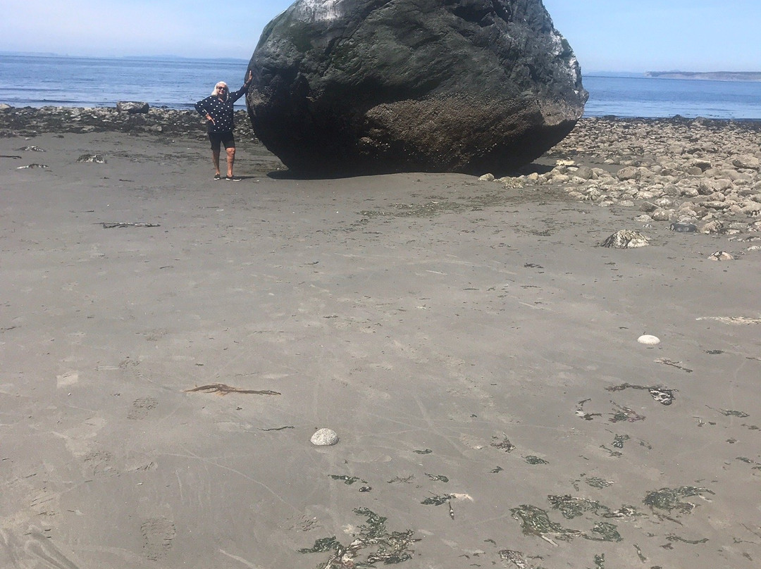 North Beach Park景点图片