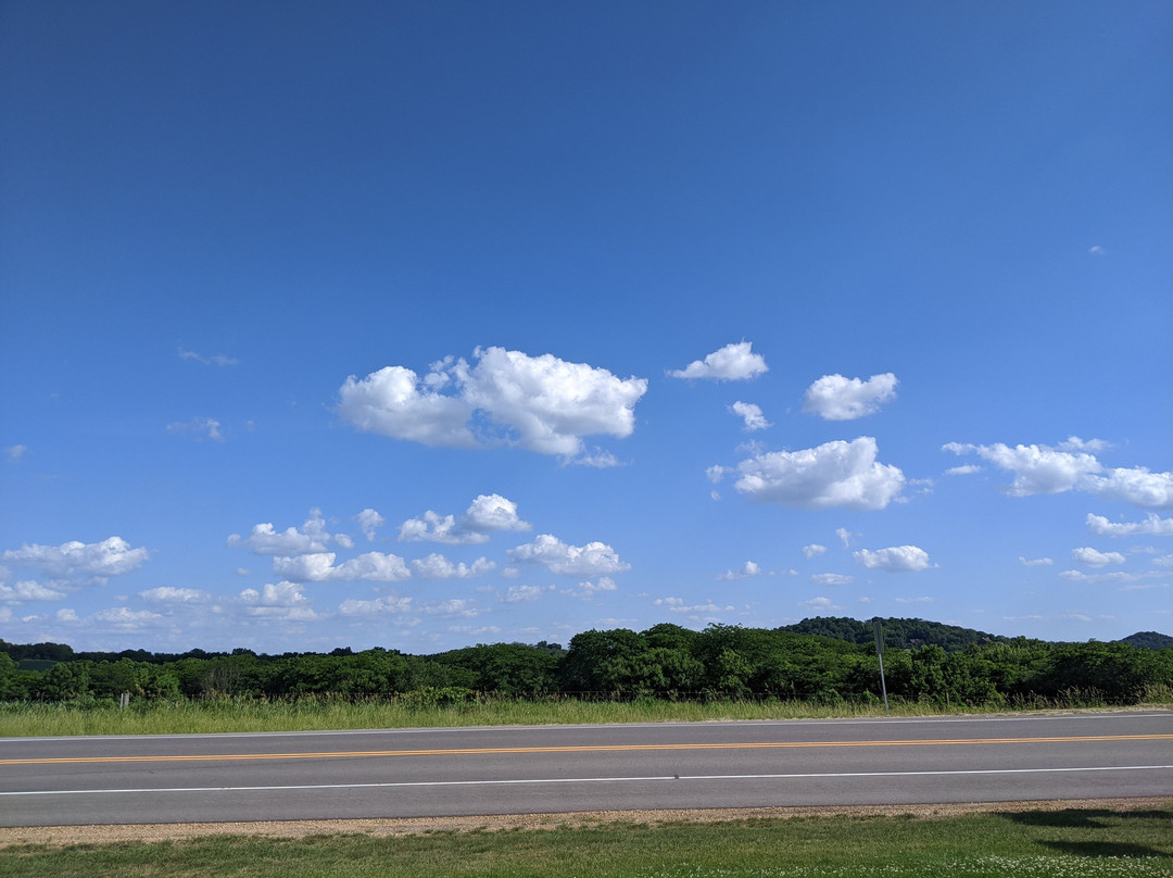 Grant Hills Motel主图