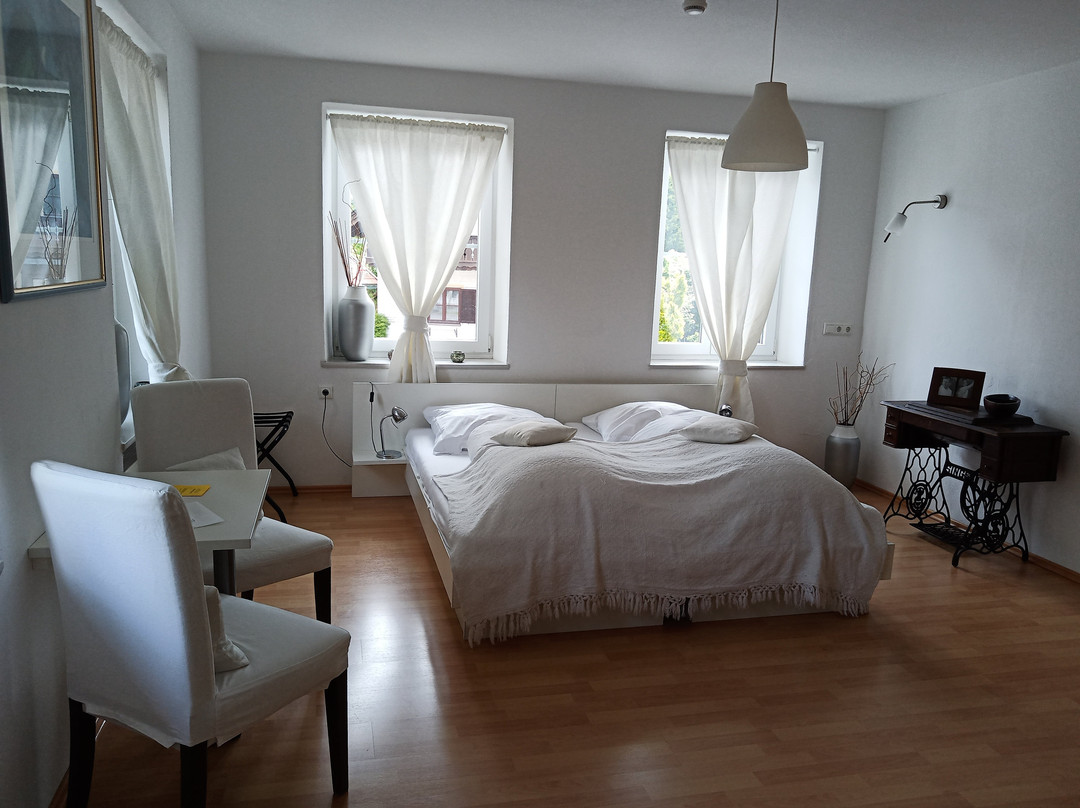 Hotel Ristorante Milano主图