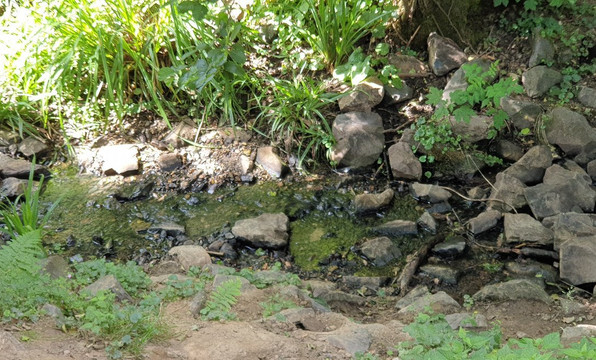 Comberg Park-Mettmann必去景点
