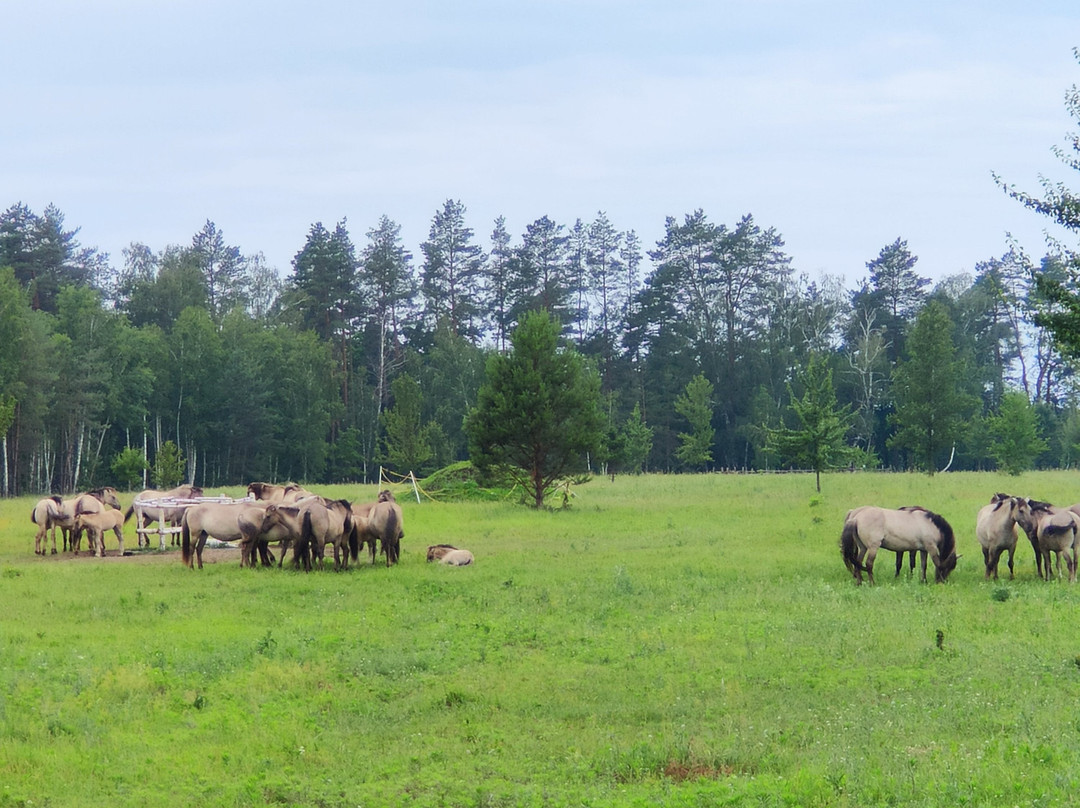 Beremytske Nature Park-Beremetskoye必去景点