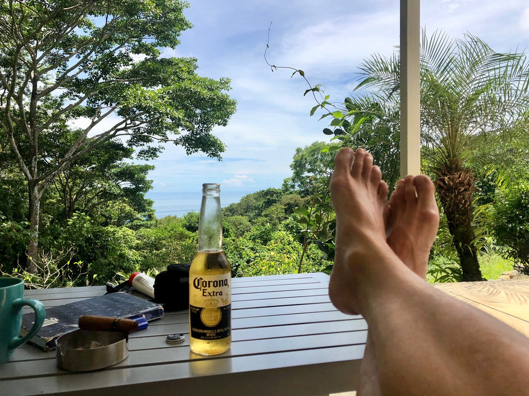 Tree of Life Cabinas主图