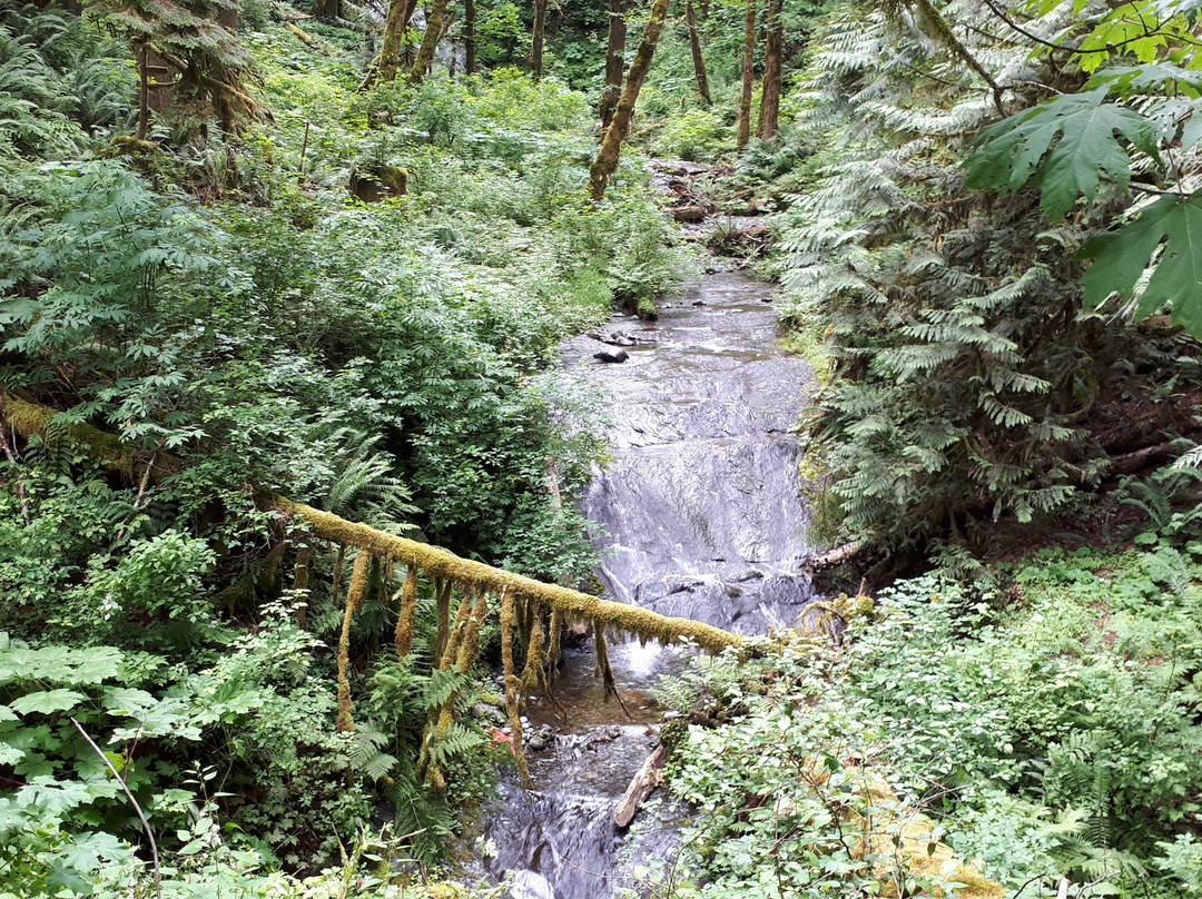 Cowichan Valley trail景点图片