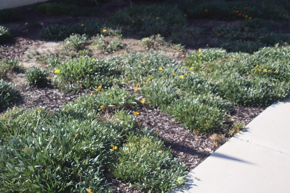 Inland Valley Baptist Fellowship-赫米特必去景点