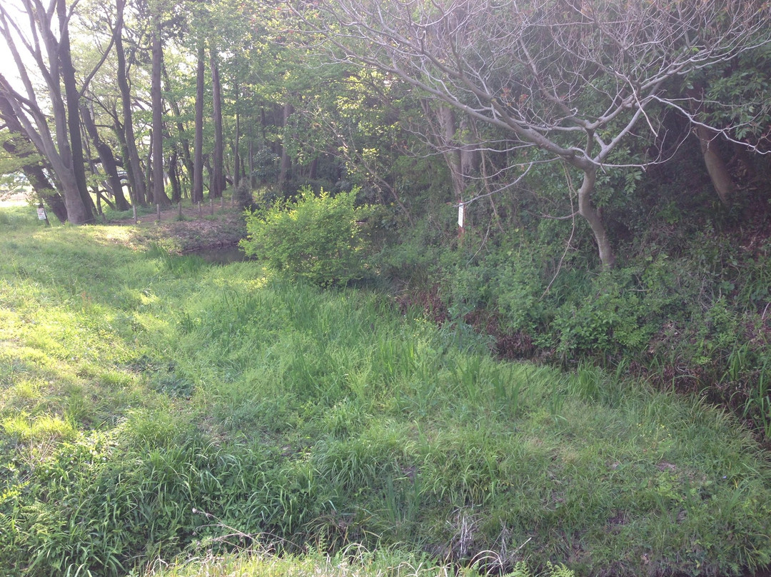 Irumagawa Promenade-入间市必去景点