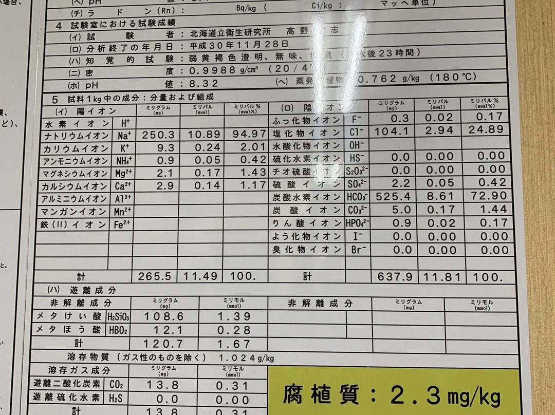 Business Hotel Green Spa主图