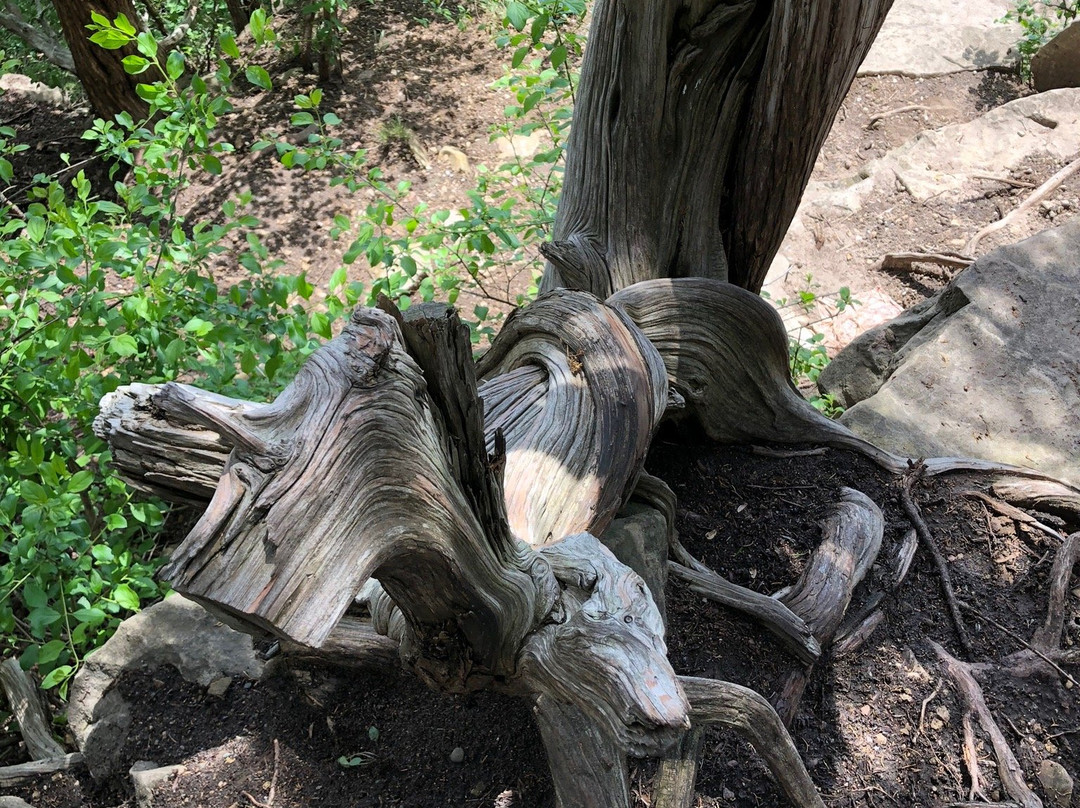 Spring Lake Park Reserve景点图片