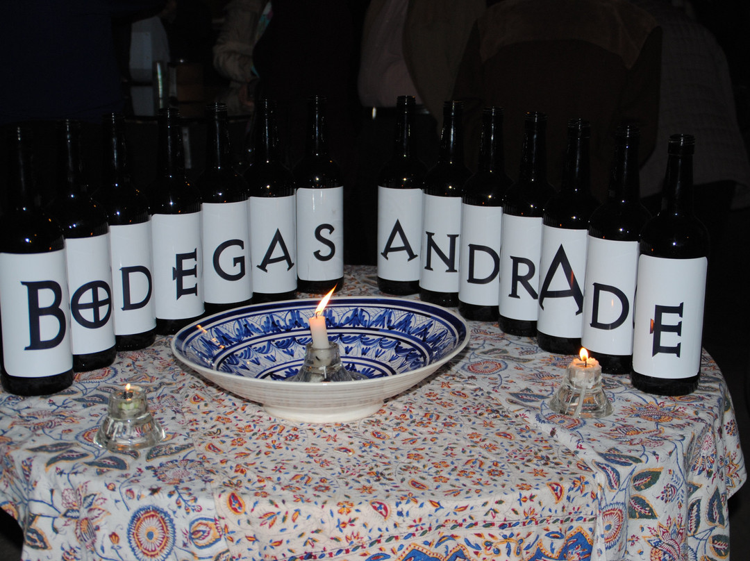 Bodegas Andrade景点图片