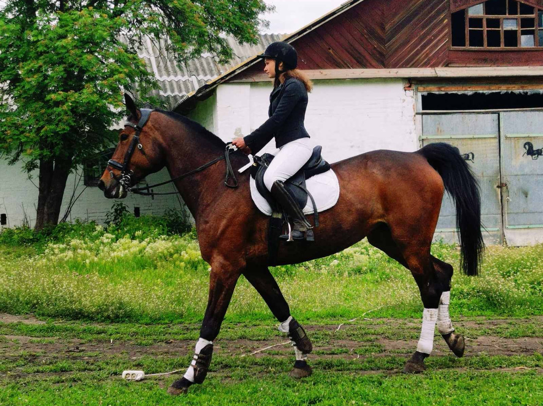 Dubrovka Horse Ranch-Dubrovka必去景点