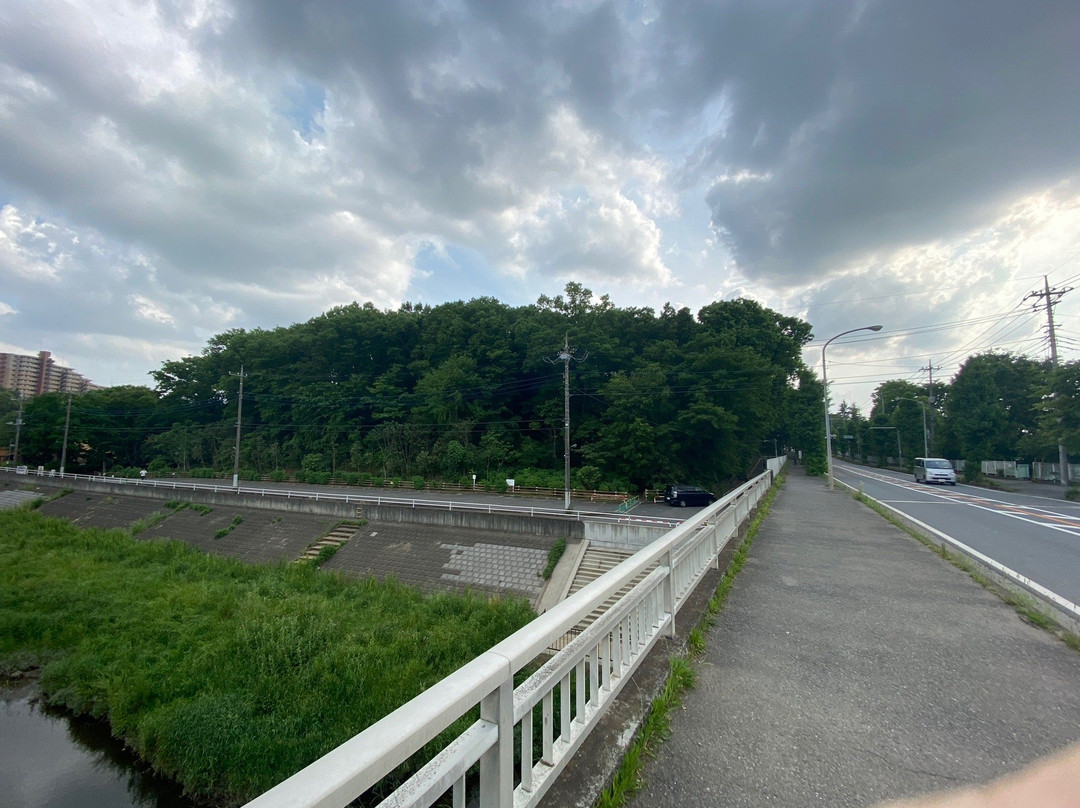 Shiroyama Park-朝霞市必去景点