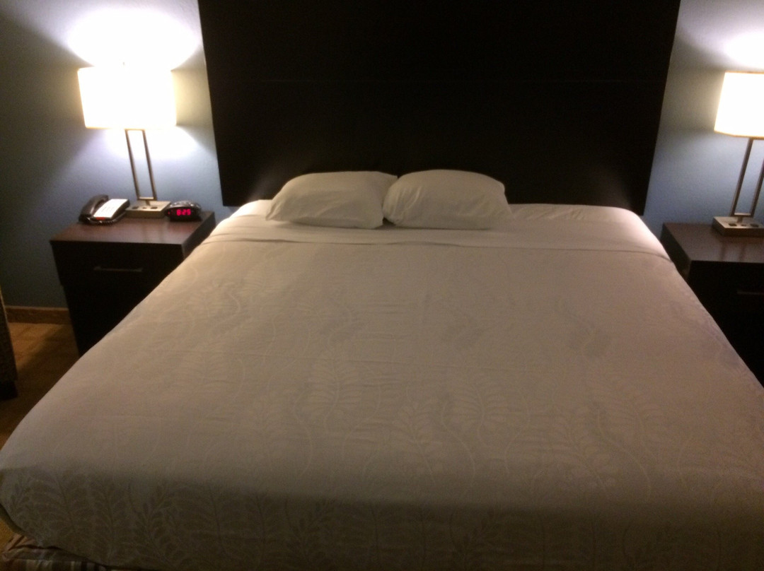 Best Western Plus Lytle Inn & Suites主图