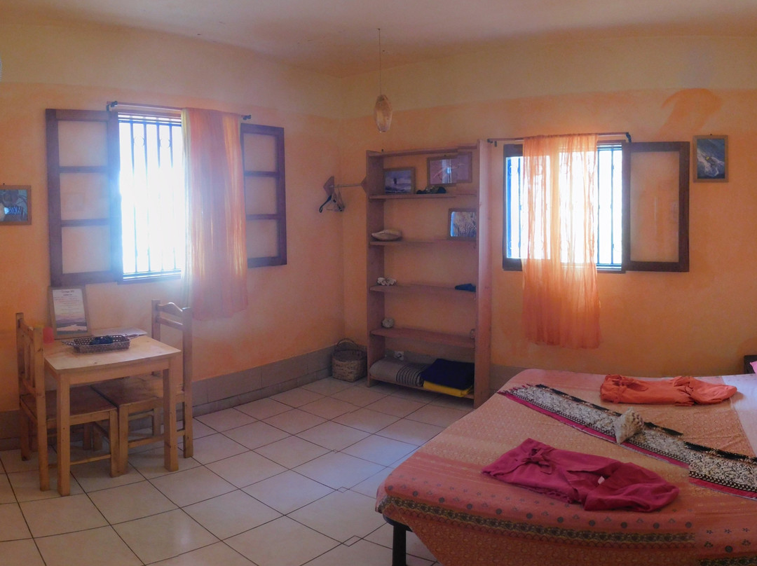 Tortuga Bed & Breakfast主图