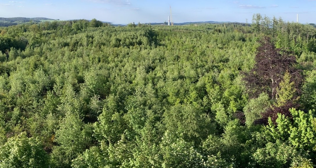 Quitmannsturm-Neuenrade必去景点