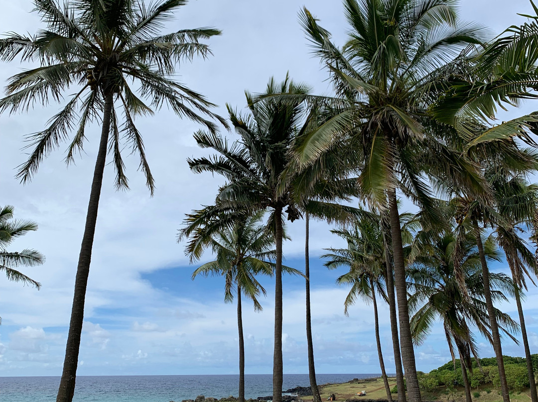 Anakena Beach-复活节岛必去景点
