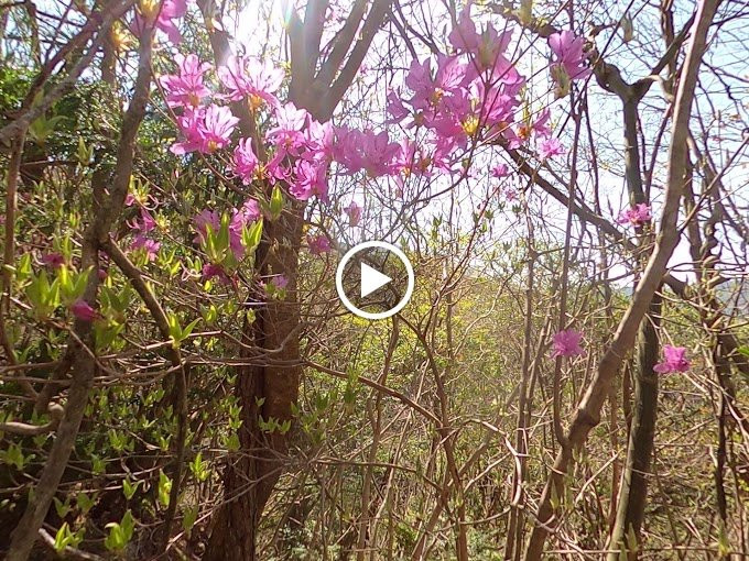 Green Park Hodono-伊野町必去景点